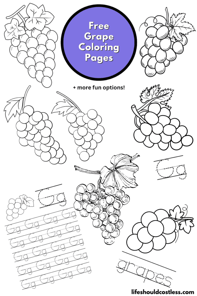 grapes coloring