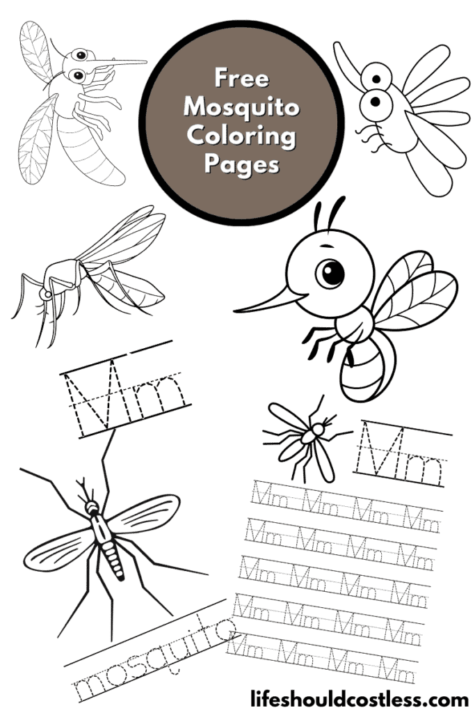 mosquito coloring