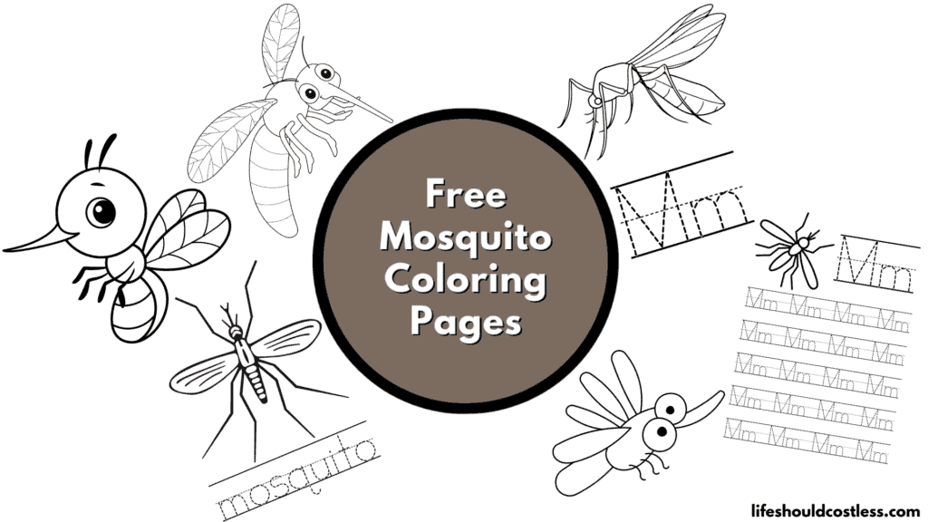 mosquito coloring pages