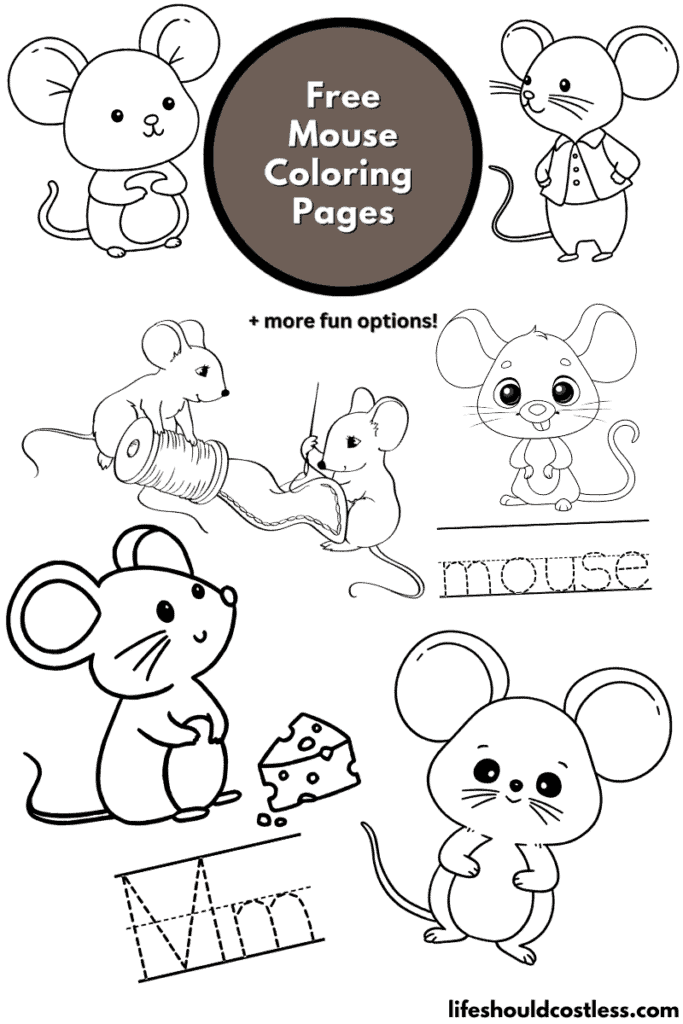 mouse coloring pictures