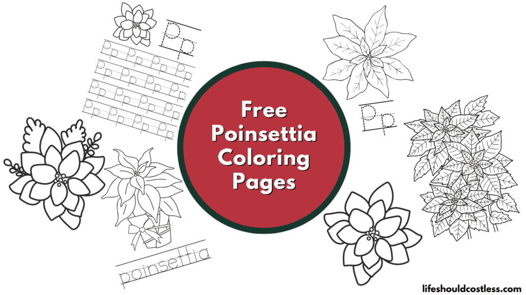 poinsettia coloring pages