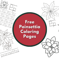 poinsettia coloring pages