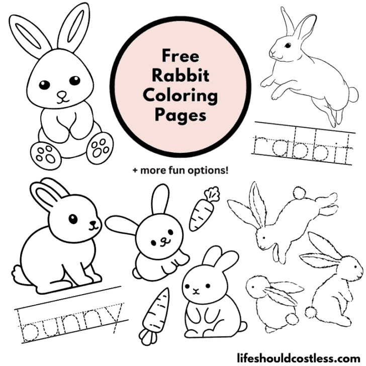 Rabbit Coloring Pages (free Printable Pdf Templates) - Life Should Cost 