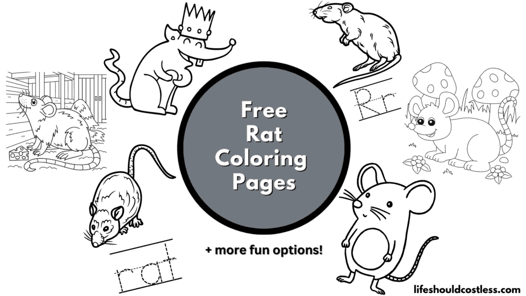 rat coloring pages