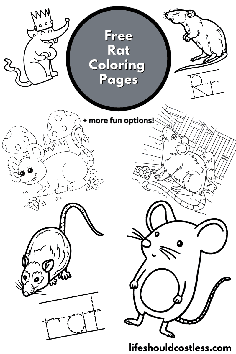 Rat coloring pages (free printable PDF templates) - Life Should Cost Less
