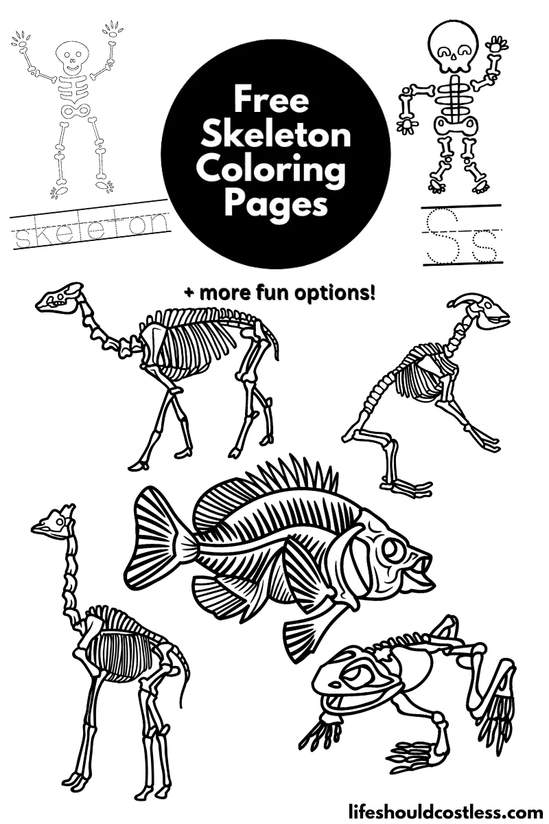 Skeleton Coloring Pages, Teaching Resources