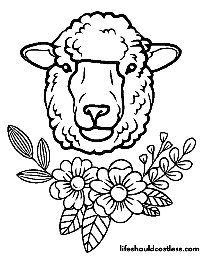 Adult Coloring Page Sheep Example