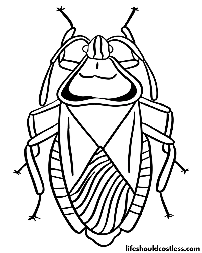 Beetle coloring page example