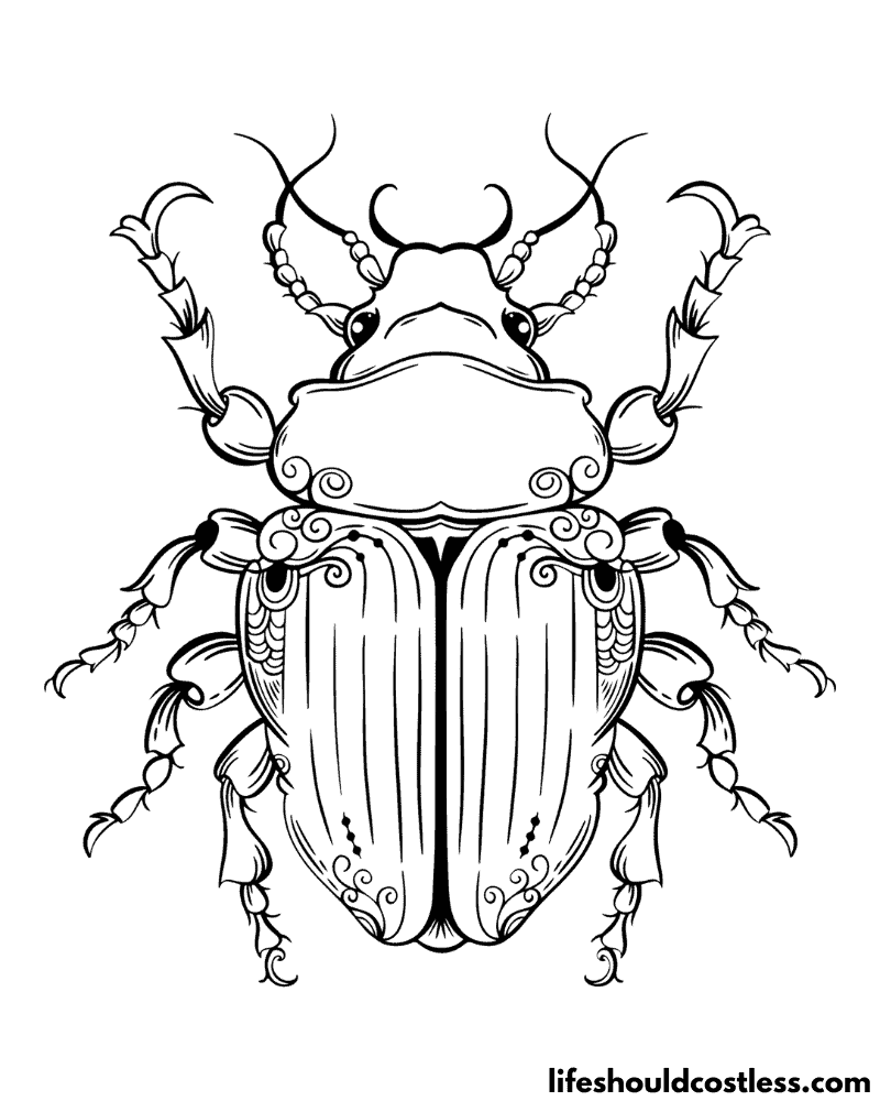 Beetles coloring pages example