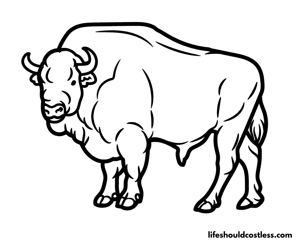 Bison coloring page example