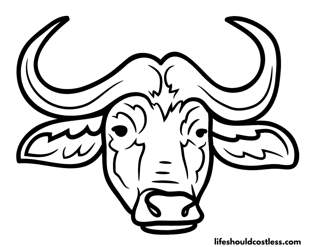 Bison colouring pages example