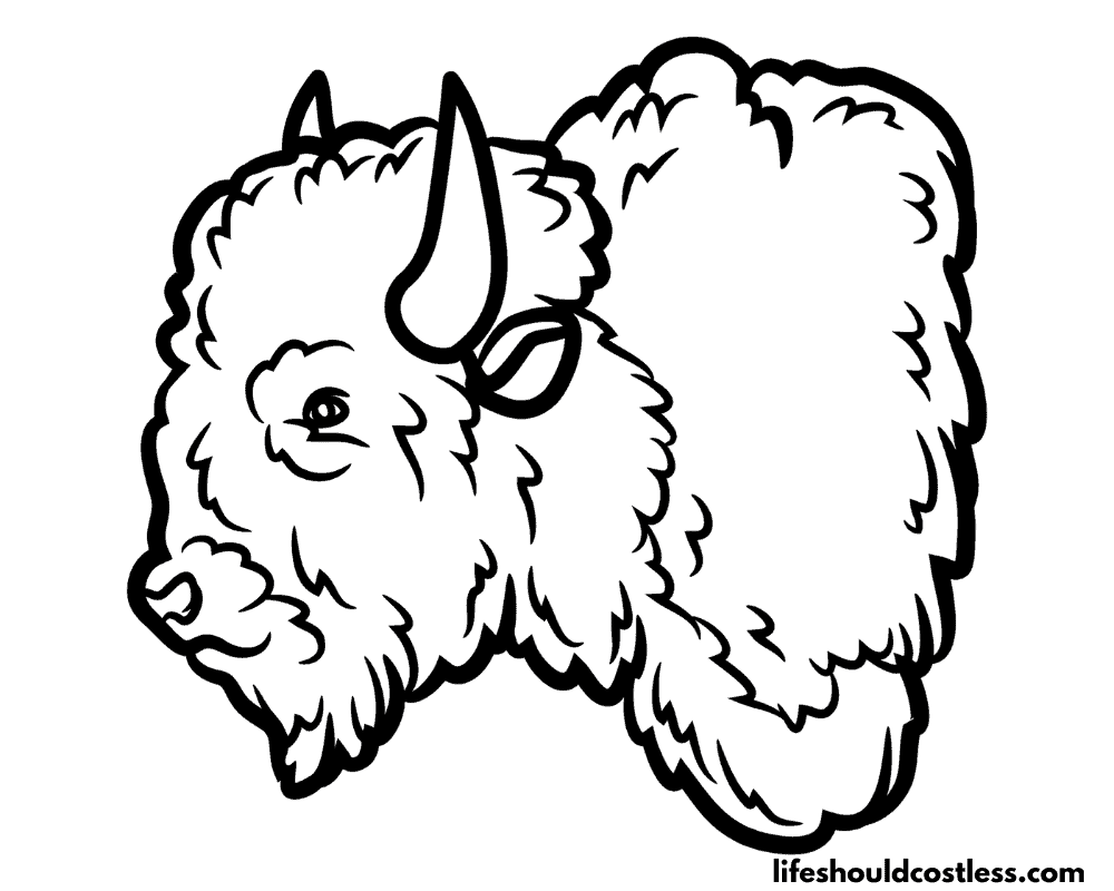 Bison pictures to color example
