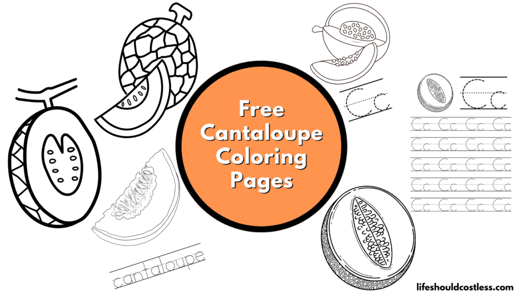 Cantaloupe coloring pages