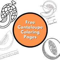 Cantaloupe coloring pages