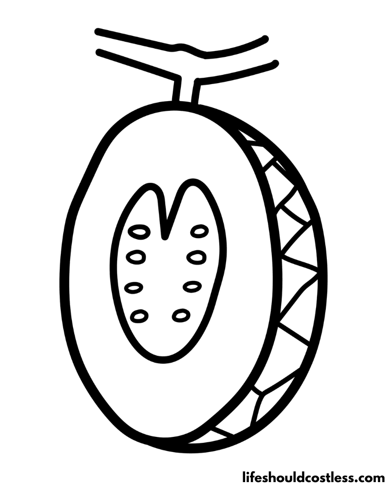 Cantaloupe colouring page example