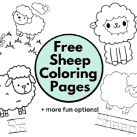 Coloring Pages Sheep