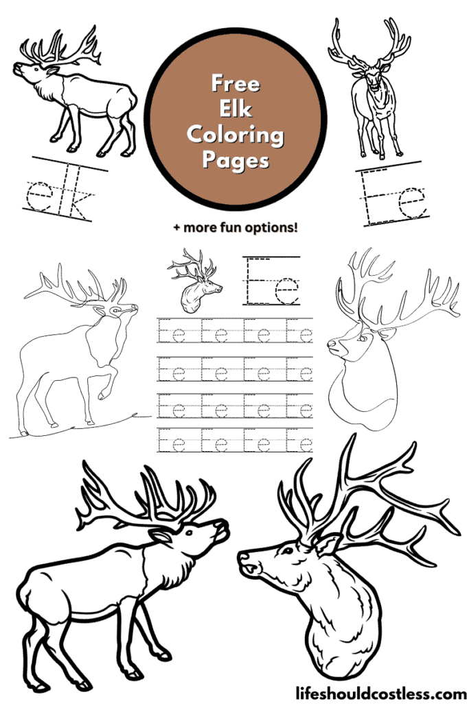 Coloring elk