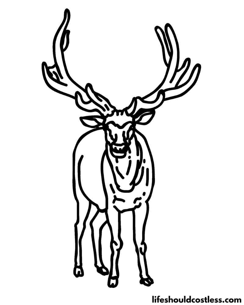 Coloring page elk example
