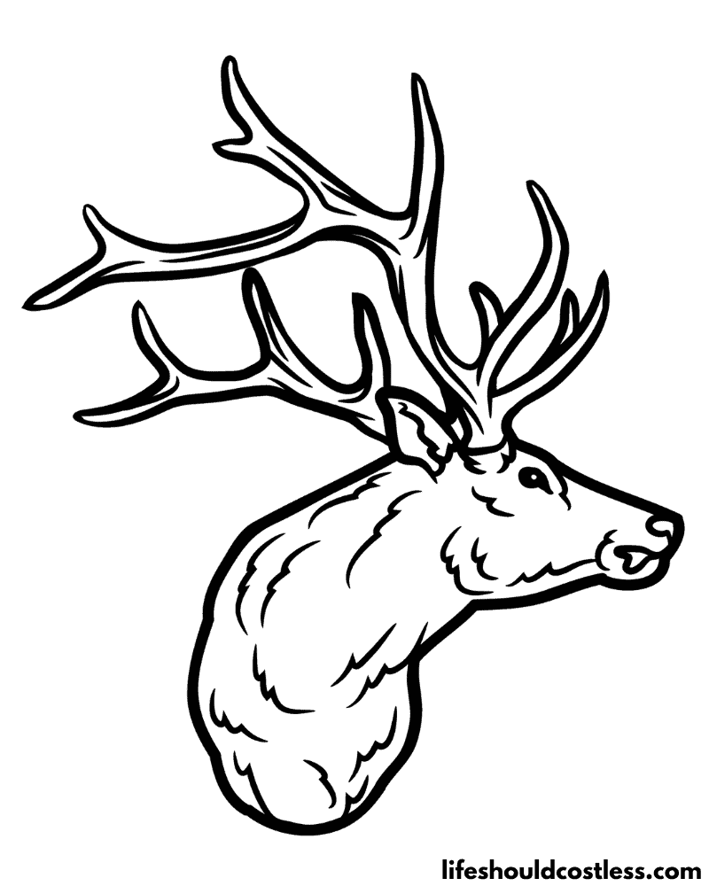Coloring pages elk example