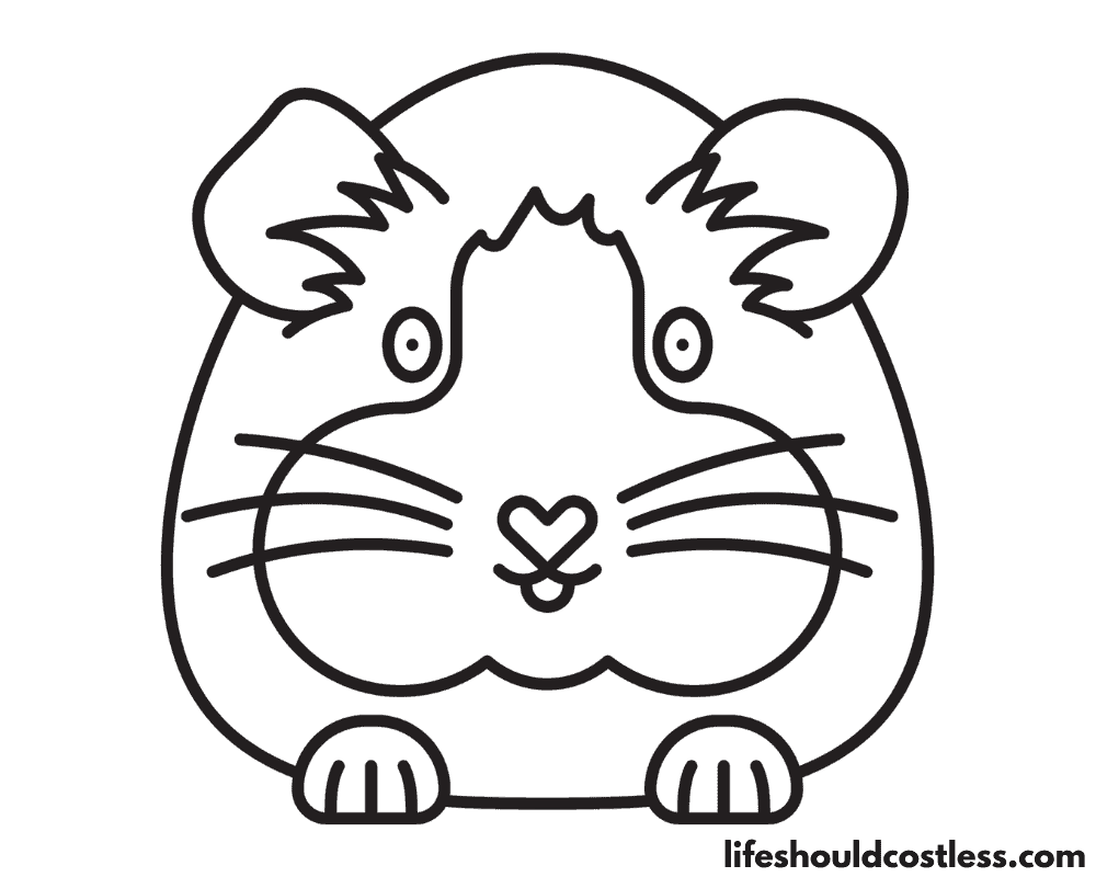 Coloring pages guinea pigs B example