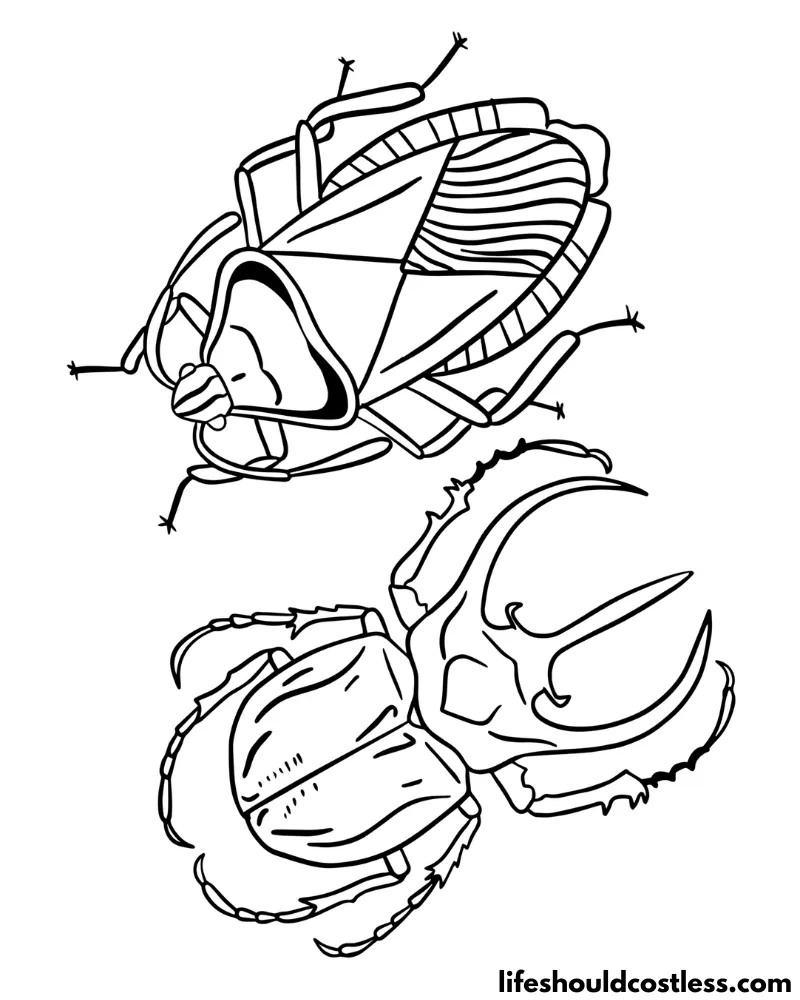 Coloring pages of beetles example