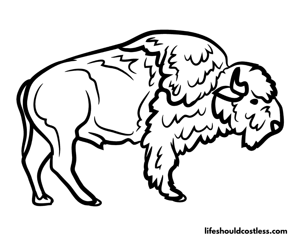 Coloring pages of buffalo example