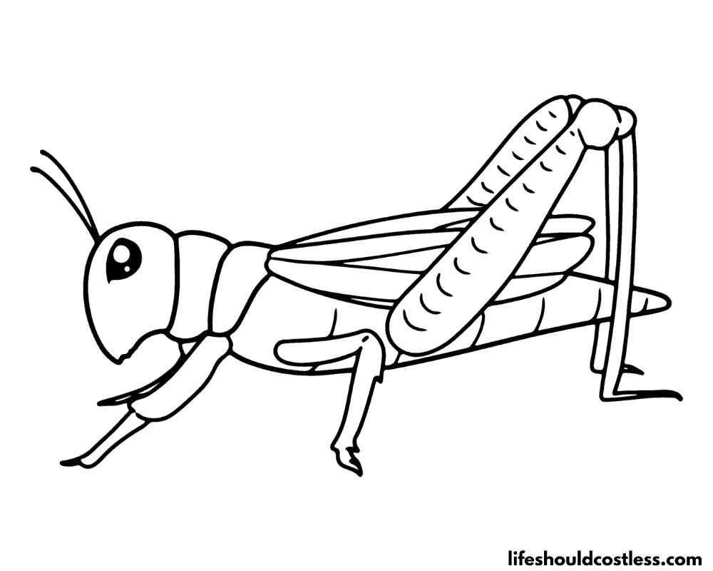 Coloring pages of crickets example
