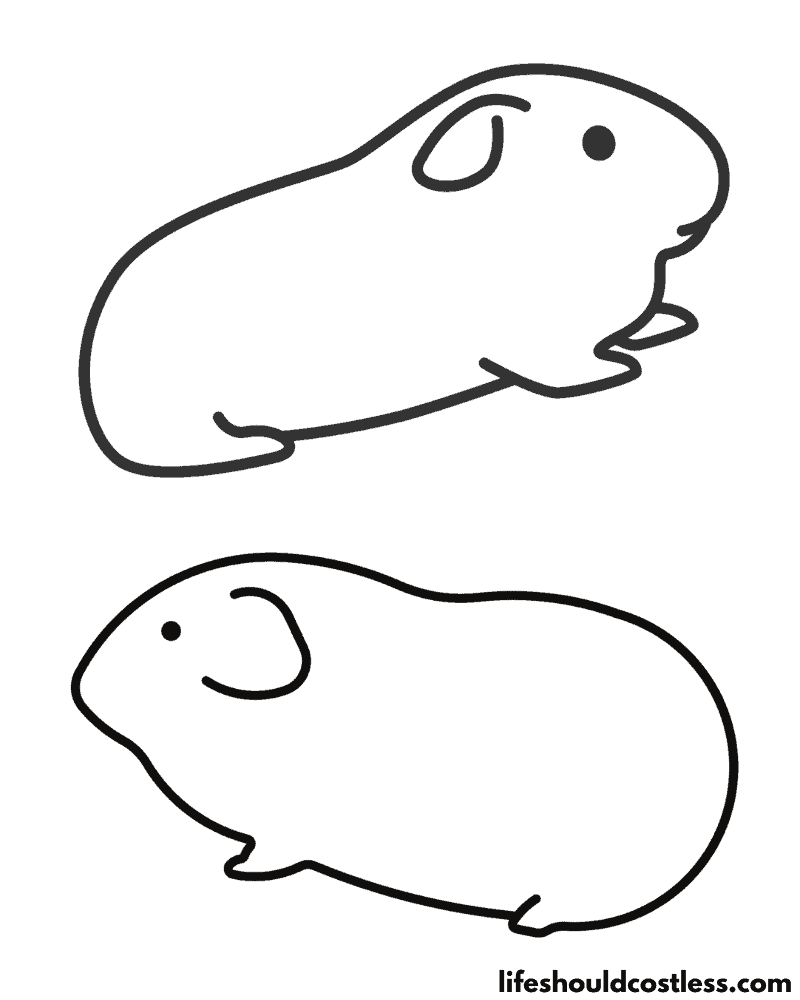 Colouring pages guinea pigs B example