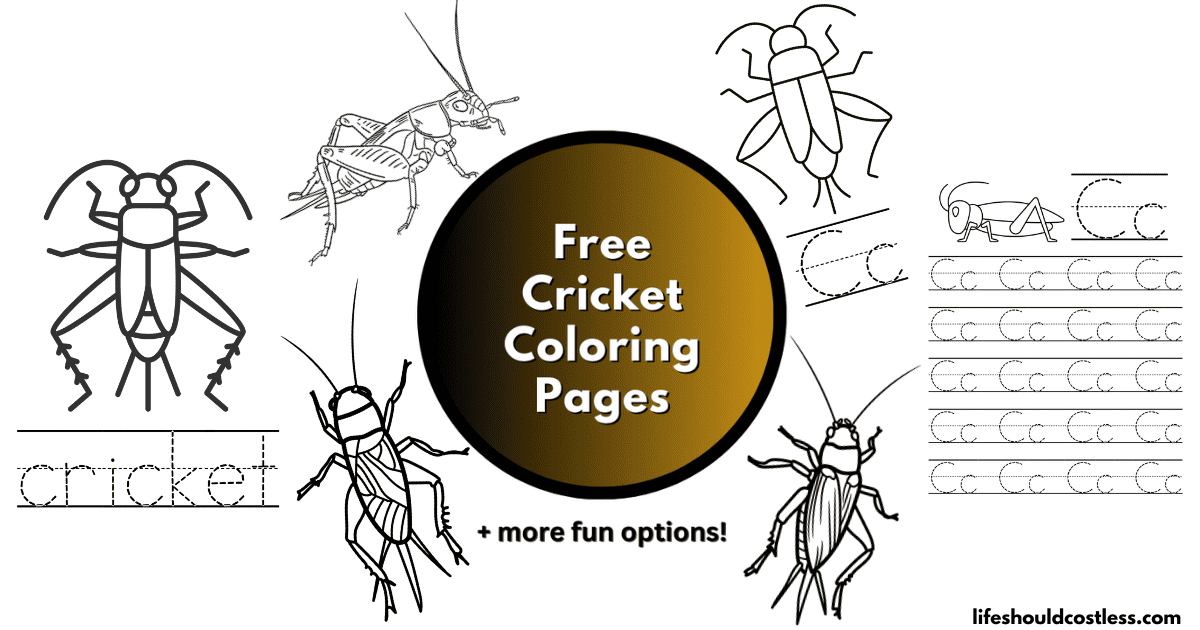 Cricket Coloring Pages (free printable PDF templates) - Life Should ...