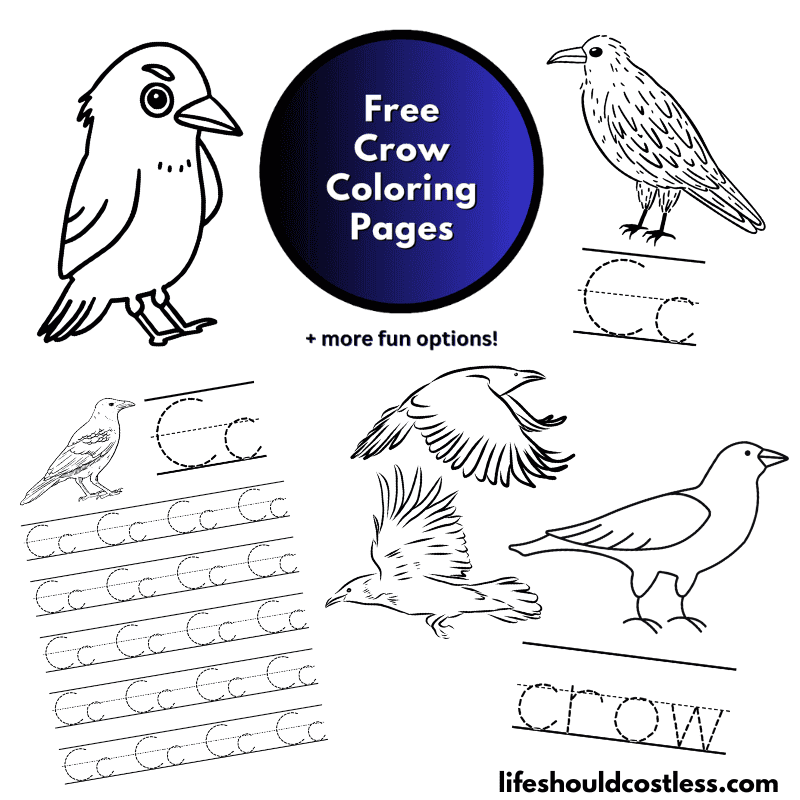 Crow printable