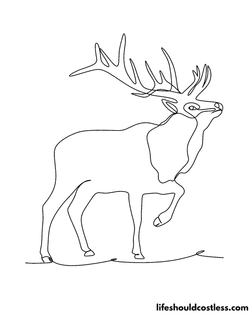 Elk pictures to color example
