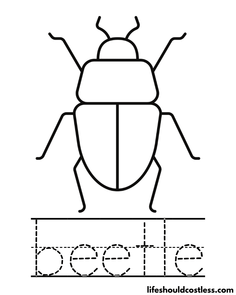 Letter B is for beetle worksheet example