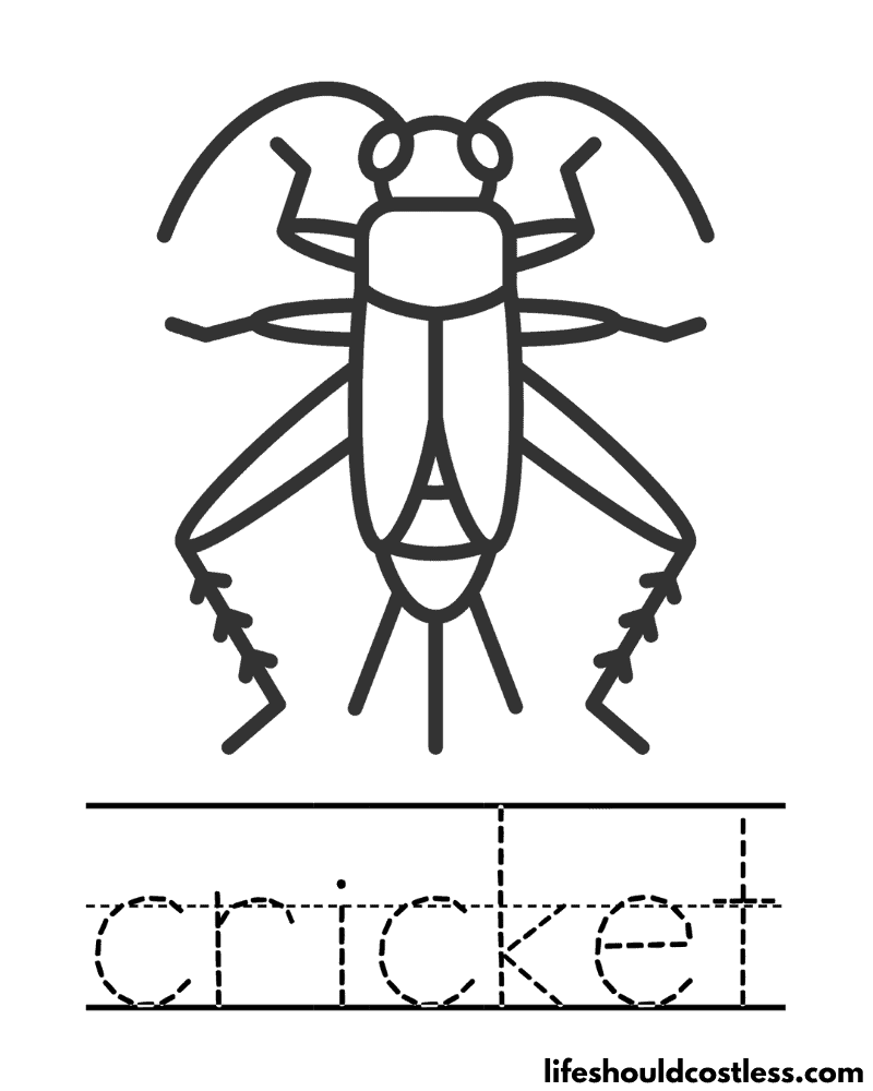 Letter C is for cricket worksheet example