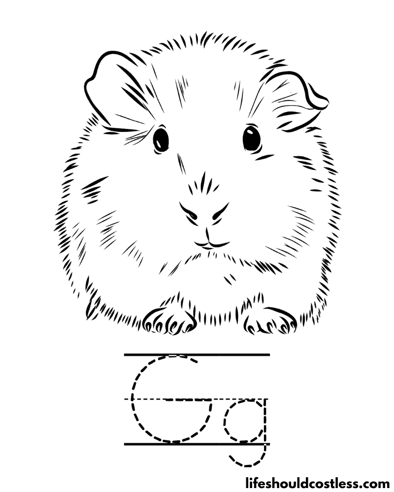 Letter G is for guinea pig coloring page example