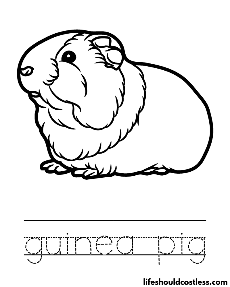 Letter G is for guinea pig worksheet example