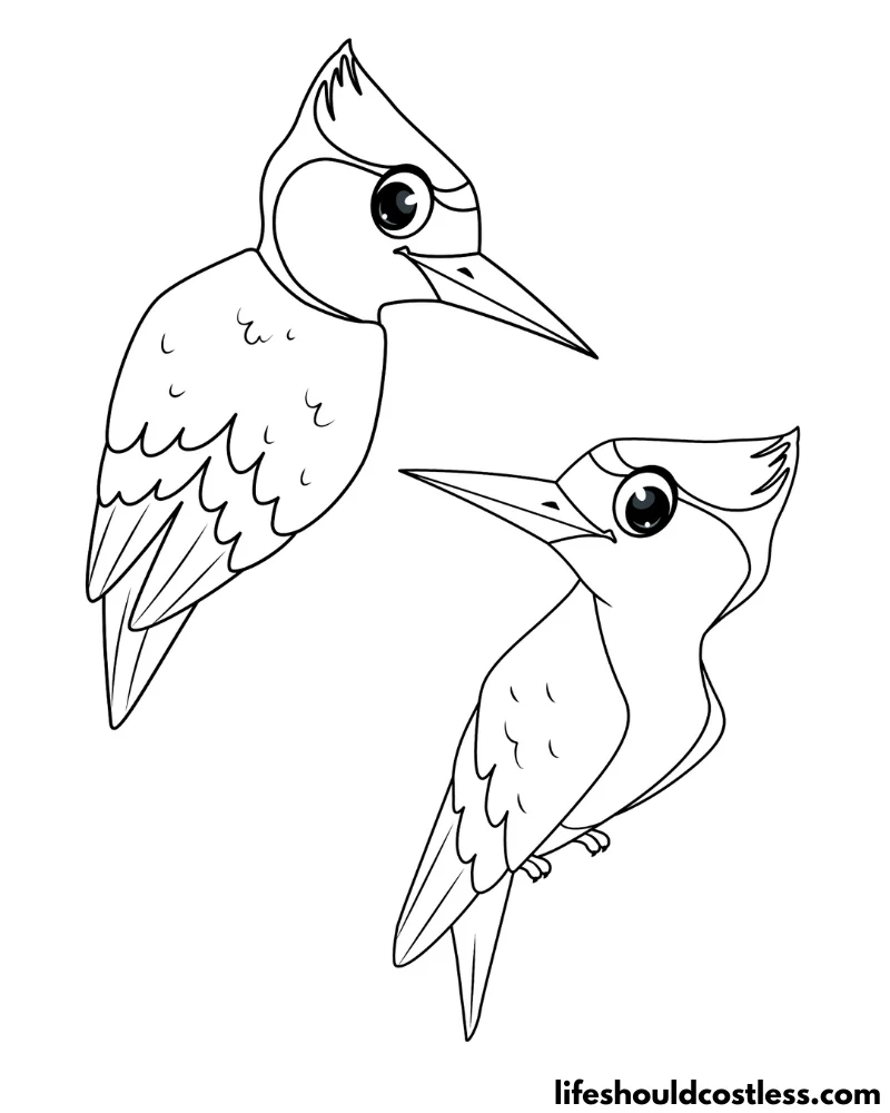 Woodpecker colouring page example