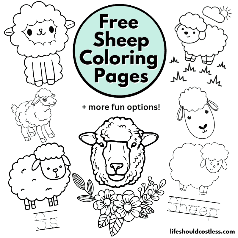 coloring page of a sheep
