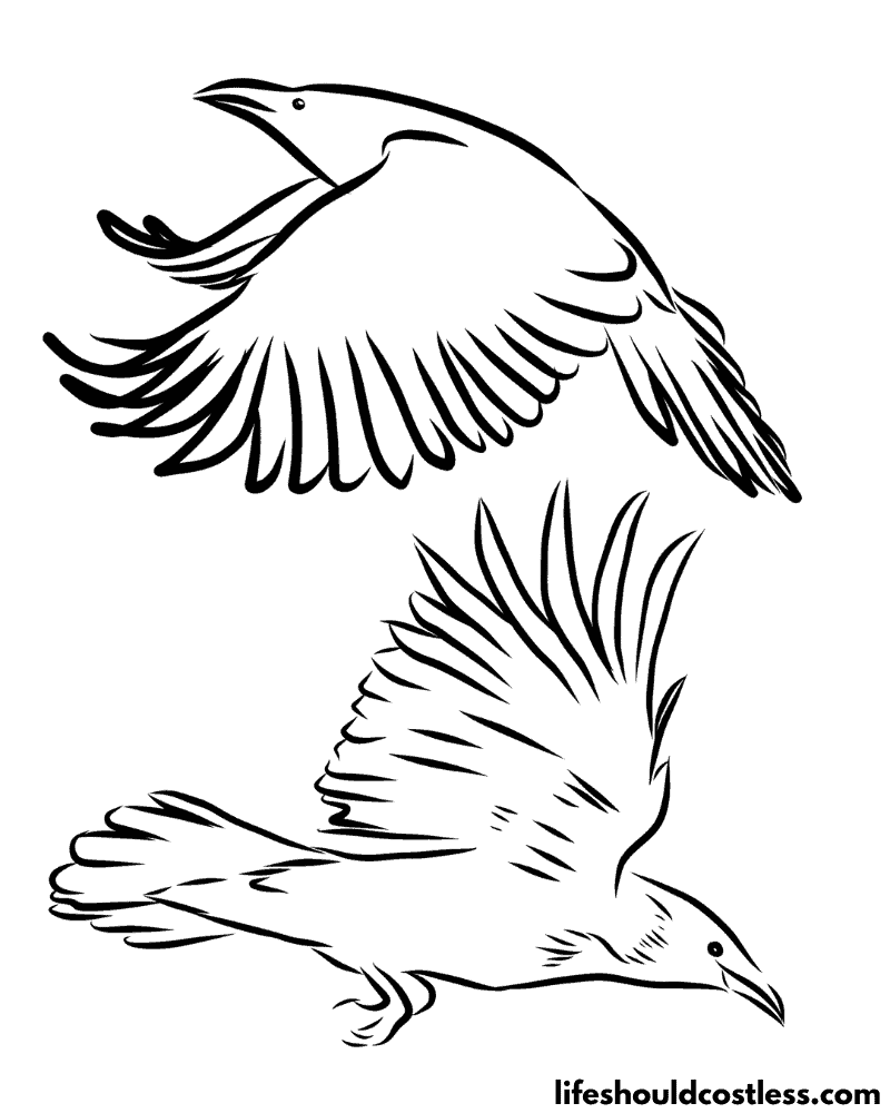 coloring pages crows example