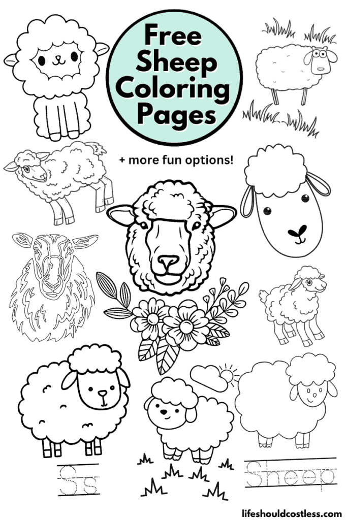 lamb coloring pages