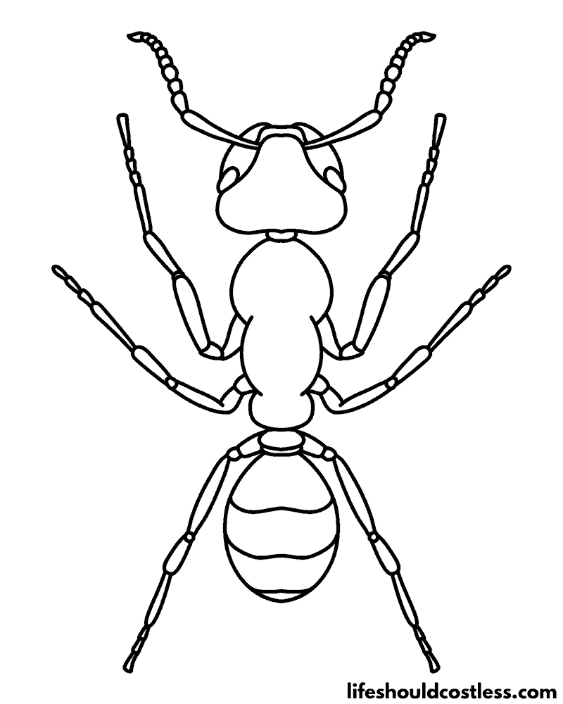 Coloring Page Ants Example