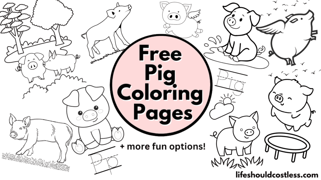 Coloring Page Of Pigs