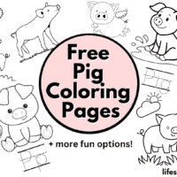 Coloring Page Of Pigs