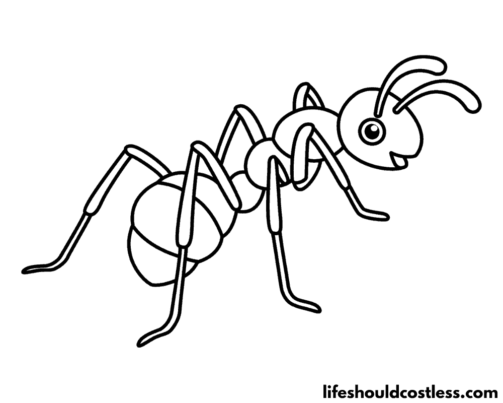 Coloring Pages Ant Example