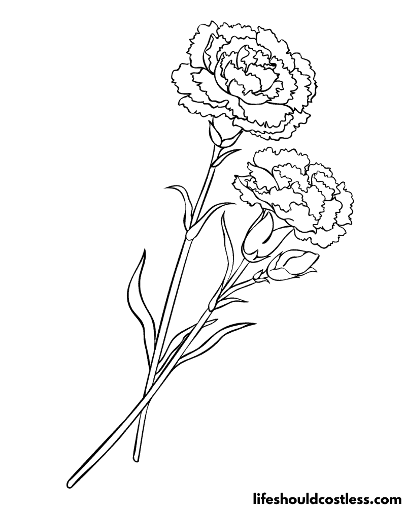 Coloring carnations page example