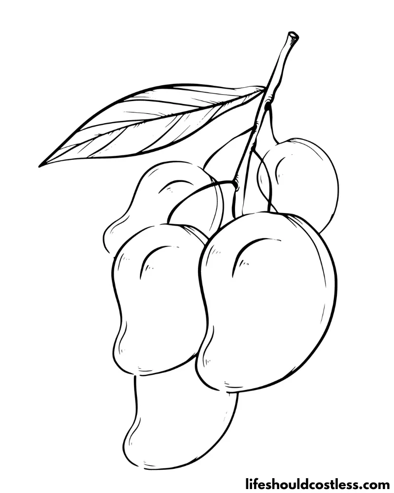 Colouring pages of mango example