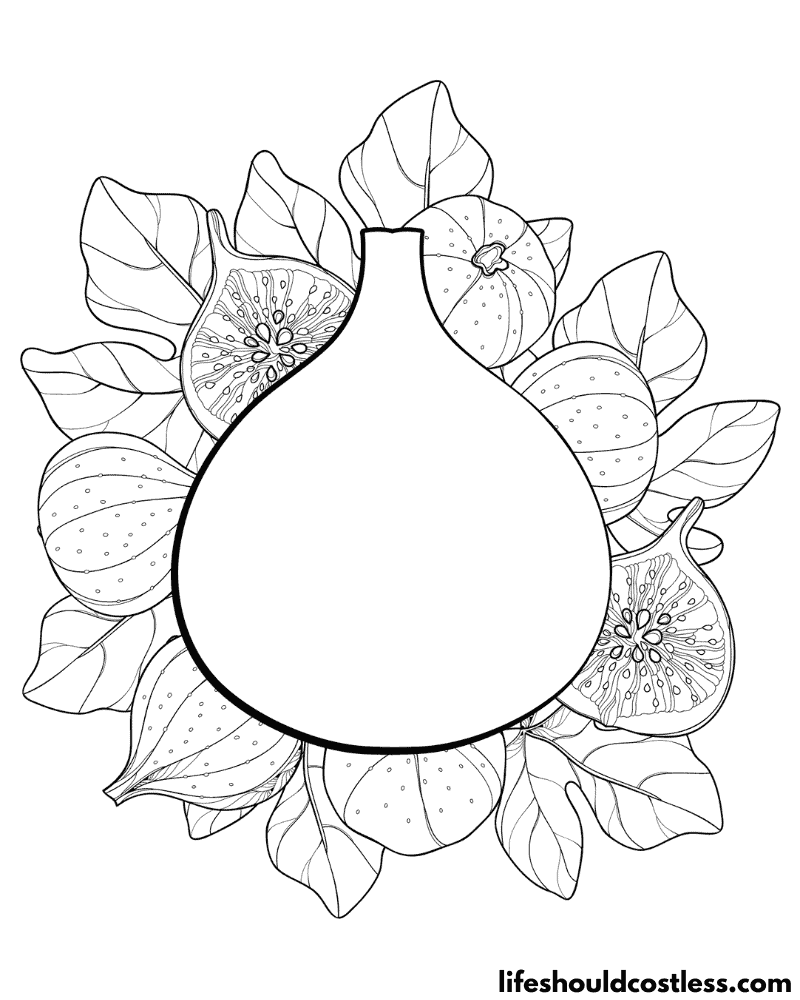 Fig coloring page example