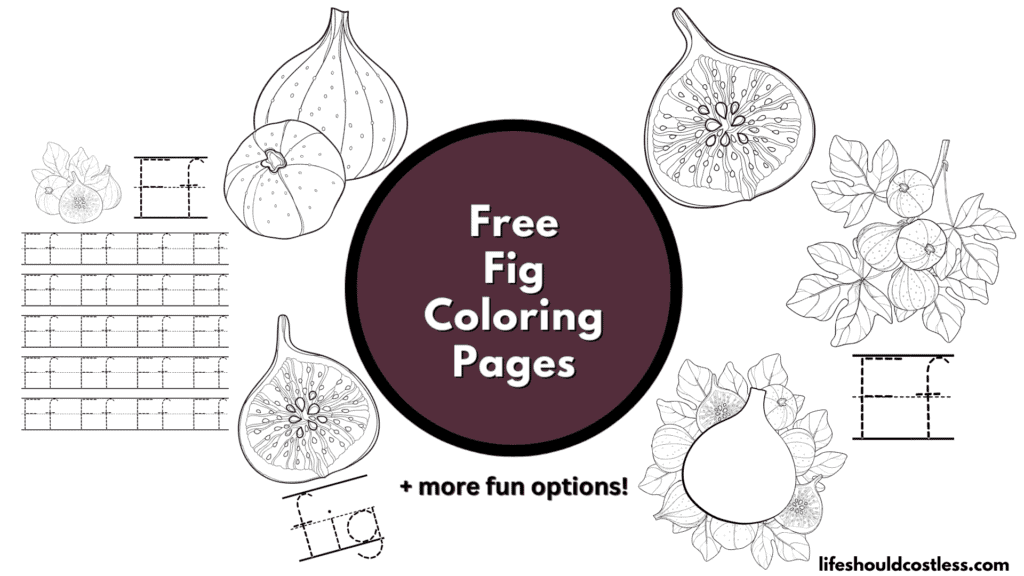 Fig coloring pages