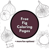 Fig coloring pages