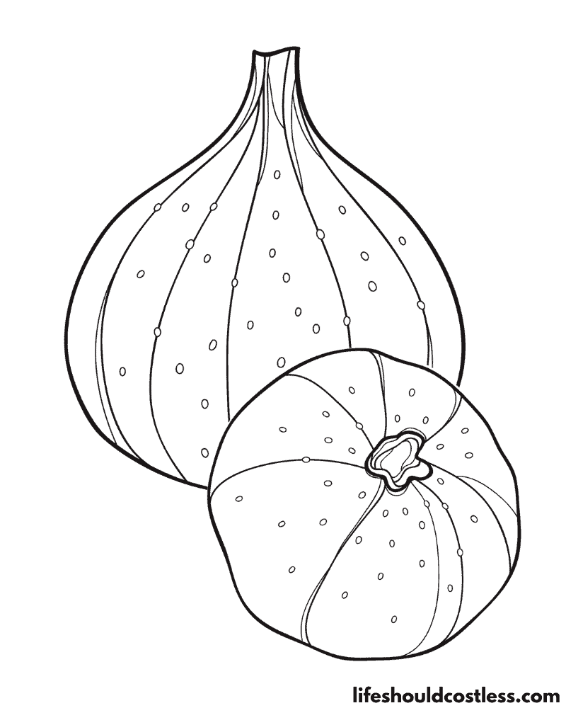 Figs coloring pages example