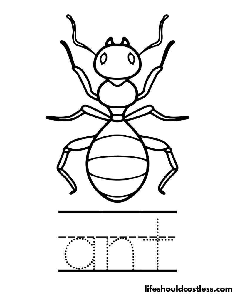 Letter A Is For Ant Worksheet Example